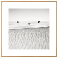 Quadro signs of life iv 60 cm x 60 cm