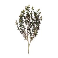 Folhagem chianti eucalipto