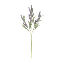 Flor giverny lavanda