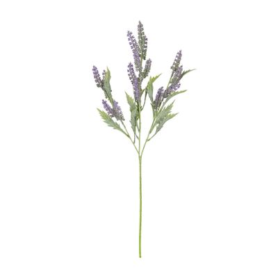 FLOR GIVERNY LAVANDA