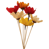 Bouquet margaridas do cerrado
