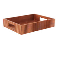 Bandeja 40 cm x 26 cm higienópolis