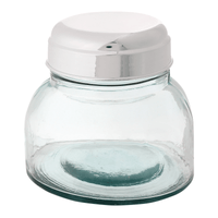 Pote 1 l elisa ii