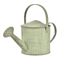 Regador decorativo 29 cm caípe