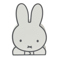 Cofre miffy