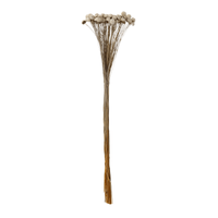 Bouquet botão branco