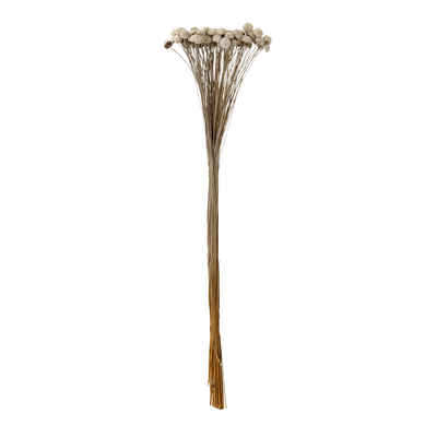 BOUQUET BOTÃO BRANCO