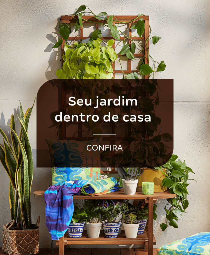 Seu Jardim dentro de casa - Confira