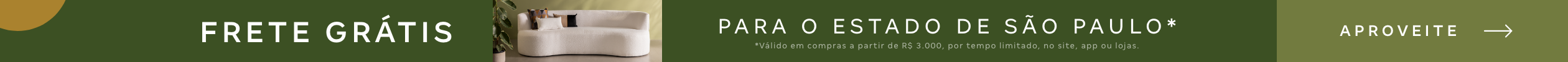 FX-01-01-Frete-Gratis-SP-SALE